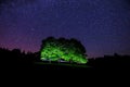 Wonderful milky way taken over forest in ÃÂ umava