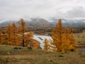 Wonderful misty alpine landscape with mountain river in valley w