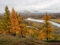 Wonderful misty alpine landscape with mountain river in valley w