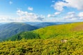 wonderful mountain landscape in summer. Royalty Free Stock Photo