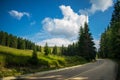 A wonderful mountain road. A beautiful landscape with lots of greenery, tall pines on the side of the road and a blue sky with