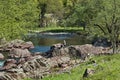 Wonderful nature with the mountain river Vit, which flows in a beautiful bed to big rocks and angler near Teteven town Royalty Free Stock Photo