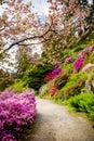 Wonderful nature in spring day in Pruhonice Park near Prague, Czech Republic Royalty Free Stock Photo