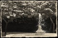 A wonderful nice black and white photo of flowers, trees and a fountain a garden in a frame, used as illustration, wallpaper, ab