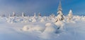 Wonderful Panoramic Landscape of Northern Winter Nature