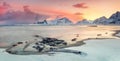 Wonderful Panoramic Sunrise Landscape of Northern Winter Nature
