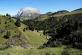 Wonderful panoramic view of alp de siusi with distinctiv dolomite mountain peak Royalty Free Stock Photo