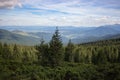 Wonderful panoramic view of Carpathians mountains, Ukraine. Evergreen forest hills. Coniferous forest. Royalty Free Stock Photo