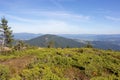 Wonderful panoramic view of Carpathians mountains, Ukraine. Evergreen forest hills. Carpathians mountains landscape. Royalty Free Stock Photo