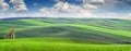 Wonderful panoramic view of colorful and striped hills, beautifu Royalty Free Stock Photo
