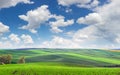 Wonderful panoramic view of fields in beautiful colorful and str Royalty Free Stock Photo