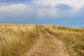 Wonderful path to horizont in summer day. PÃÂ¡lava. CZ. Royalty Free Stock Photo