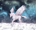 Wild pegasus over the clouds