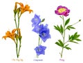 Wonderful pictures of different flowers Royalty Free Stock Photo