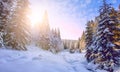 Wonderful Picturesque Winter Landscape. Scenic image of fairy-tale Woodland in sunlit. Beautiful winter landscape with snow