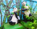 A wonderful portrait of two pandas in the garden of the park