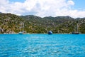 Harbor with yachts in a green canyon with turquoise sea