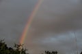 wonderful rainbow after the rain at summer