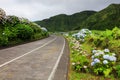 Wonderful road in Sao Miguel Island