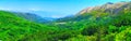 Wonderful romantic summer afternoon landscape panorama. Green, emerald valley of in the canyon plateau. Deciduous forest. Baska on