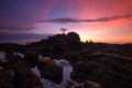 Isolated tree Wonderful scenery at Labuan Island