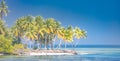 Fantastic tropical beach banner. Exotic landscape background concept. Palms on island tropical landscape Royalty Free Stock Photo