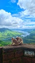 Wonderful shot of monkey on the edge wall of mountain with view of lake and clouds