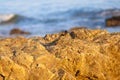 A wonderful shot of a small black bird on a brown stone rock at El Matador beach