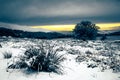 Wonderful shot of a winter sunset over a snowy landscape Royalty Free Stock Photo