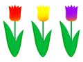 A wonderful simple design of colored spring tulips