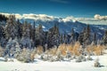 Wonderful snowy winter landscape,Poiana Brasov,Carpathians,Transylvania,Romania,Europe Royalty Free Stock Photo