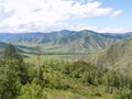 wonderful spring landscape in the mountains. It's a sunny day.grassy fields and hills. rural landscape Royalty Free Stock Photo