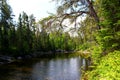 Wonderful summer day: Beautiful lake in the canadian forest Royalty Free Stock Photo