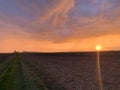 fantastic sunset in a field Royalty Free Stock Photo