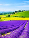 Wonderful summer landscape with lavender fields in Provence, Valensole, France. Royalty Free Stock Photo