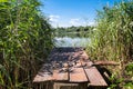 Old wooden bridge over the rural lake. Wild reeds on the lake edge. Small country houses among trees on distant side. Royalty Free Stock Photo