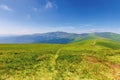 Wonderful summer mountain landscape Royalty Free Stock Photo