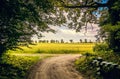 Wonderful summer scenery. Beautiful rural landscape. The dirt road that stretches from the forest in the field of wheat Royalty Free Stock Photo