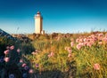 Wonderful summer view of Stafnesviti lighthouse among the field of blooming flowers.