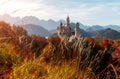 Wonderful Sunny landscape. Sunny day in Alps. Incredible majestic Neuschwanstein castle in Autumn. Popular locations for