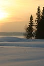 Wonderful sunny winter day by the lake