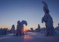 Wonderful sunrise on cold winter morning at Finnish Lapland, Northern Finland