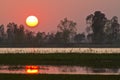 Wonderful sunset on a nepali swamp, Bardia, Nepal Royalty Free Stock Photo
