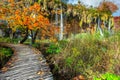 Spectacular tourist pathway in colorful autumn forest, Plitvice lakes, Croatia Royalty Free Stock Photo