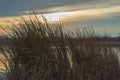 Beautiful sunset over marshland at Purgatory Creek Park