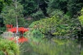 Oriental park with wunderful trees Royalty Free Stock Photo