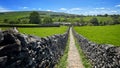 Wonderful trod from Grassington to Linton Falls