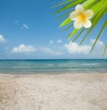 Wonderful tropical beach, blue sea, sun, sand Royalty Free Stock Photo