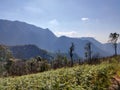 Wonderful view of big fluffy cloud over top of mo Royalty Free Stock Photo