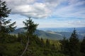 Wonderful view of Carpathians mountains with coniferous trees foreground. Mountains with beautiful sky and clouds. Royalty Free Stock Photo